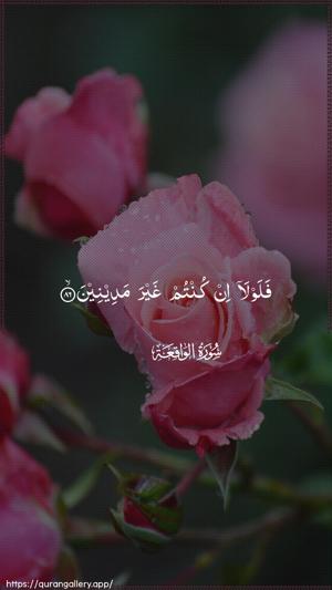 Al-Waaqia Ayah 86 - Arabic wallpaper