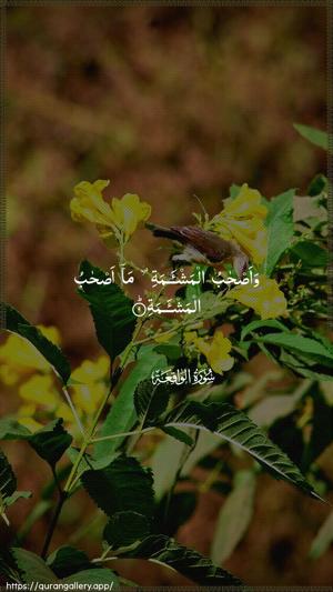 Al-Waaqia Ayah 9 - Arabic wallpaper