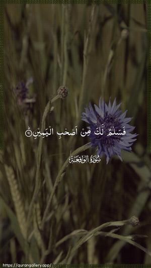 Al-Waaqia Ayah 91 - Arabic wallpaper