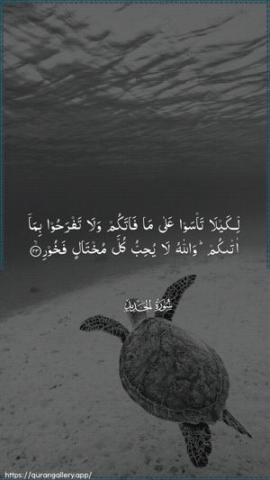 Al-Hadid Ayah 23 - Arabic wallpaper