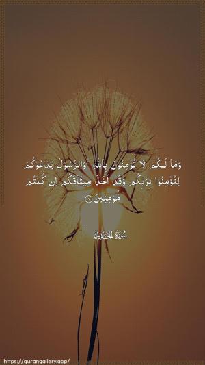 Al-Hadid Ayah 8 - Arabic wallpaper