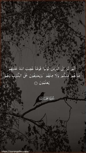 Al-Mujaadila Ayah 14 - Arabic wallpaper