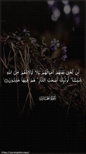 Al-Mujaadila Ayah 17 - Arabic wallpaper