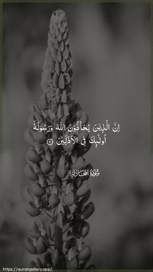 Al-Mujaadila Ayah 20 - Arabic wallpaper