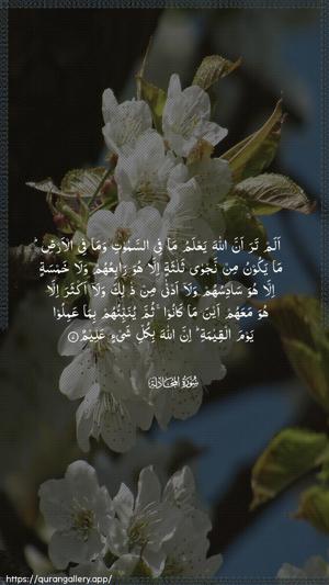 Al-Mujaadila Ayah 7 - Arabic wallpaper