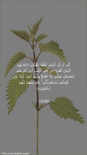 Al-Hashr Ayah 11 - Arabic wallpaper