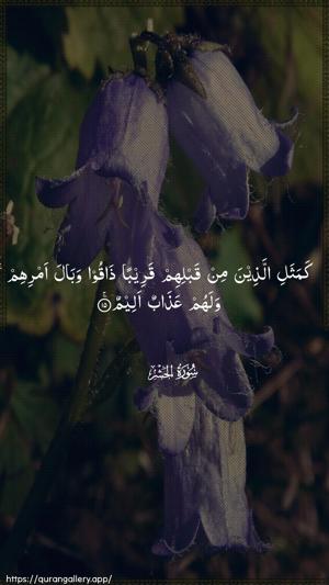 Al-Hashr Ayah 15 - Arabic wallpaper