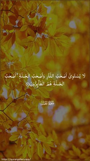 Al-Hashr Ayah 20 - Arabic wallpaper