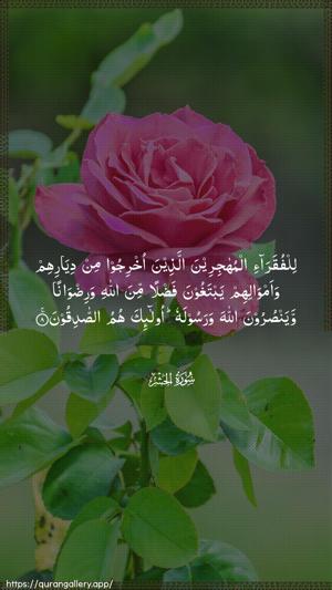 Al-Hashr Ayah 8 - Arabic wallpaper