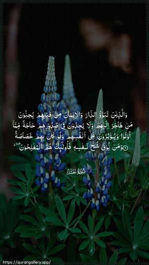 Al-Hashr Ayah 9 - Arabic wallpaper