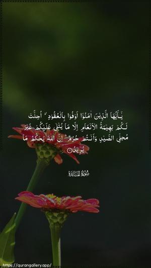 Al-Maaida Ayah 1 - Arabic wallpaper