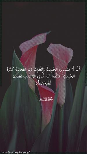 Al-Maaida Ayah 100 - Arabic wallpaper