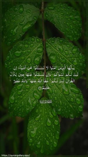 Al-Maaida Ayah 101 - Arabic wallpaper