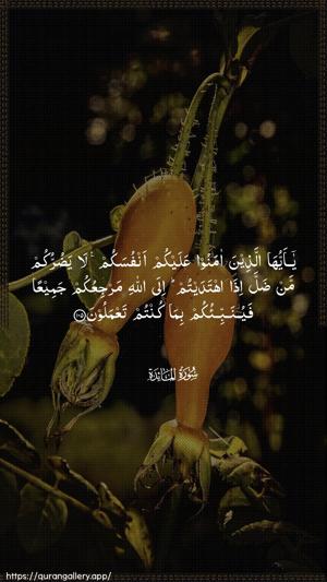 Al-Maaida Ayah 105 - Arabic wallpaper