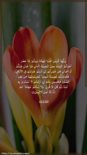 Al-Maaida Ayah 106 - Arabic wallpaper
