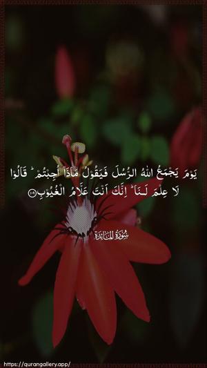 Al-Maaida Ayah 109 - Arabic wallpaper