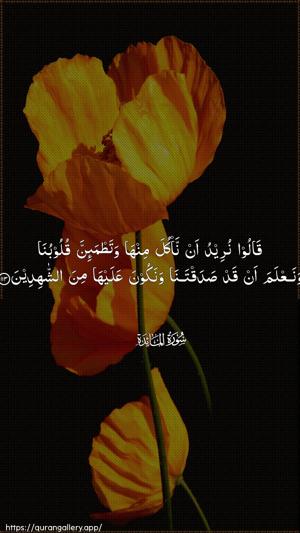 Al-Maaida Ayah 113 - Arabic wallpaper