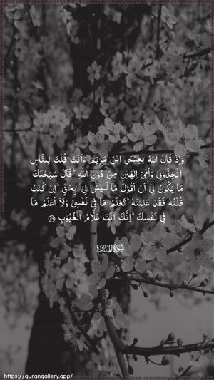 Al-Maaida Ayah 116 - Arabic wallpaper