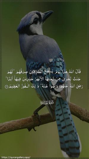 Al-Maaida Ayah 119 - Arabic wallpaper