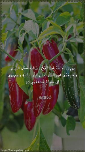 Al-Maaida Ayah 16 - Arabic wallpaper
