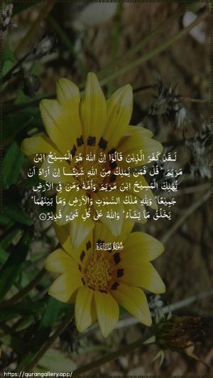 Al-Maaida Ayah 17 - Arabic wallpaper