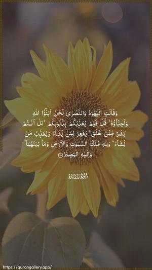 Al-Maaida Ayah 18 - Arabic wallpaper