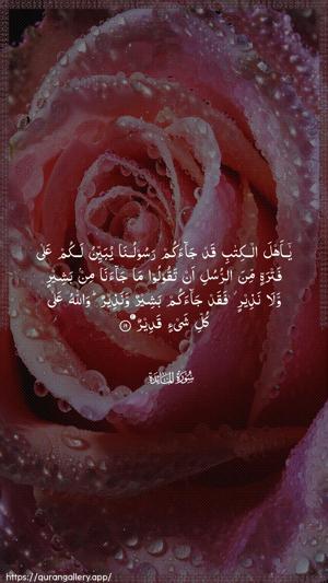 Al-Maaida Ayah 19 - Arabic wallpaper