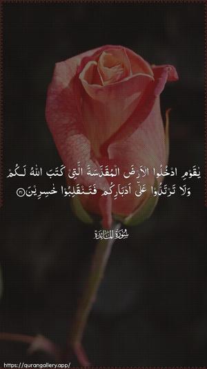 Al-Maaida Ayah 21 - Arabic wallpaper