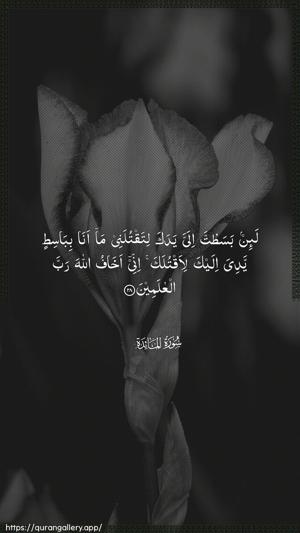 Al-Maaida Ayah 28 - Arabic wallpaper