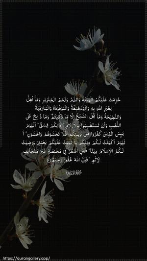 Al-Maaida Ayah 3 - Arabic wallpaper