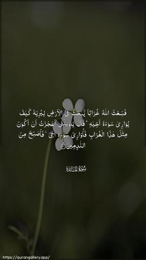 Al-Maaida Ayah 31 - Arabic wallpaper