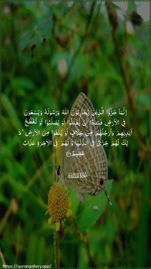 Al-Maaida Ayah 33 - Arabic wallpaper