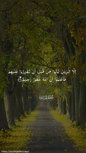 Al-Maaida Ayah 34 - Arabic wallpaper