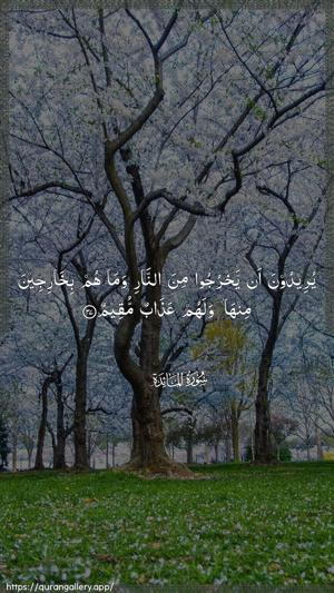 Al-Maaida Ayah 37 - Arabic wallpaper