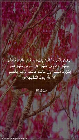 Al-Maaida Ayah 42 - Arabic wallpaper