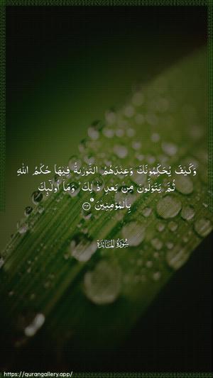 Al-Maaida Ayah 43 - Arabic wallpaper