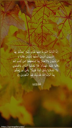 Al-Maaida Ayah 44 - Arabic wallpaper
