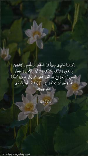Al-Maaida Ayah 45 - Arabic wallpaper