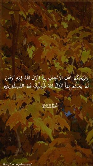 Al-Maaida Ayah 47 - Arabic wallpaper