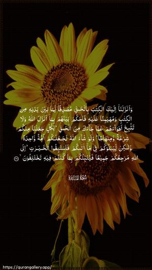 Al-Maaida Ayah 48 - Arabic wallpaper