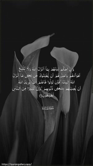 Al-Maaida Ayah 49 - Arabic wallpaper