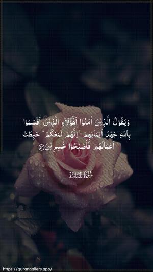 Al-Maaida Ayah 53 - Arabic wallpaper