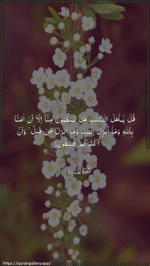 Al-Maaida Ayah 59 - Arabic wallpaper