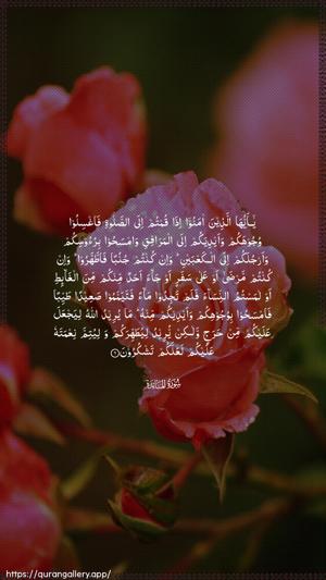 Al-Maaida Ayah 6 - Arabic wallpaper