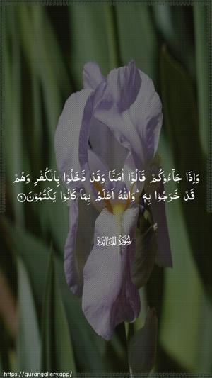 Al-Maaida Ayah 61 - Arabic wallpaper