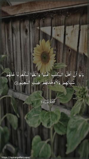 Al-Maaida Ayah 65 - Arabic wallpaper