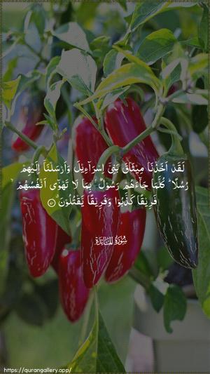 Al-Maaida Ayah 70 - Arabic wallpaper