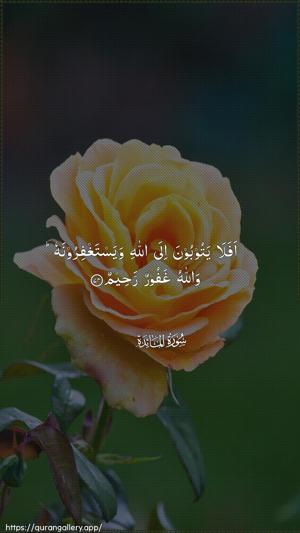 Al-Maaida Ayah 74 - Arabic wallpaper