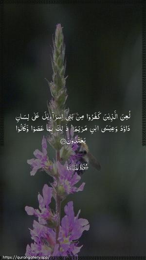 Al-Maaida Ayah 78 - Arabic wallpaper