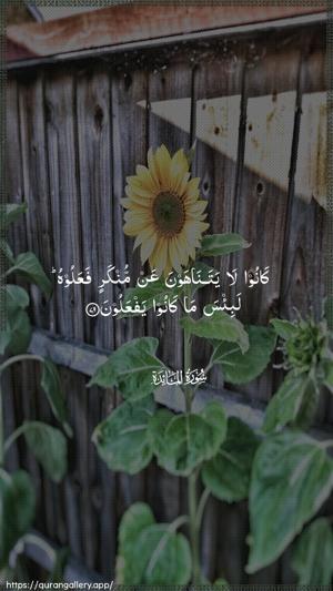 Al-Maaida Ayah 79 - Arabic wallpaper